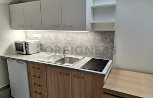 Apartment for rent, 1+KK - Studio, 20m<sup>2</sup>