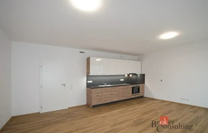 Apartment for rent, 1+KK - Studio, 37m<sup>2</sup>