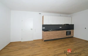 Apartment for rent, 1+KK - Studio, 37m<sup>2</sup>