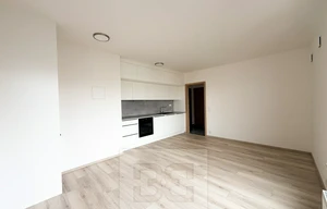 Apartment for rent, 2+kk - 1 bedroom, 45m<sup>2</sup>