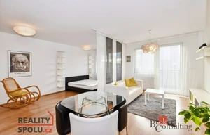 Apartment for rent, 1+KK - Studio, 49m<sup>2</sup>