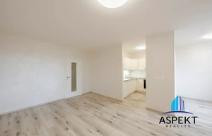 Apartment for rent, 1+KK - Studio, 52m<sup>2</sup>