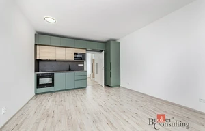 Apartment for rent, 1+KK - Studio, 38m<sup>2</sup>