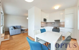 Apartment for rent, 3+kk - 2 bedrooms, 118m<sup>2</sup>