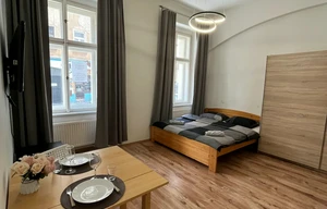 Apartment for rent, 1+KK - Studio, 31m<sup>2</sup>