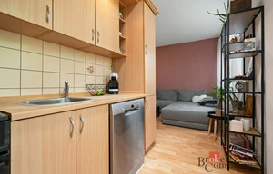 Apartment for rent, 2+kk - 1 bedroom, 52m<sup>2</sup>