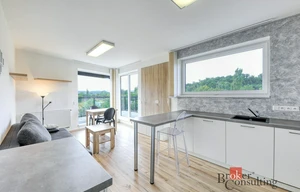 Apartment for rent, 2+kk - 1 bedroom, 74m<sup>2</sup>