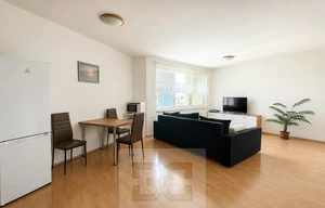 Apartment for rent, 1+KK - Studio, 50m<sup>2</sup>