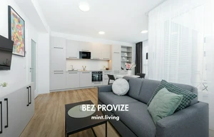 Apartment for rent, 2+kk - 1 bedroom, 49m<sup>2</sup>