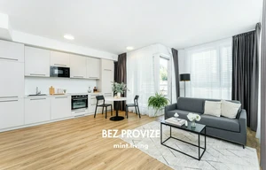 Apartment for rent, 2+kk - 1 bedroom, 52m<sup>2</sup>