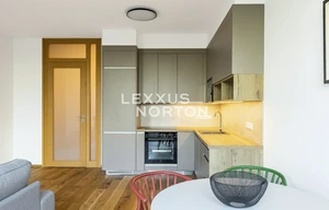 Apartment for rent, 2+kk - 1 bedroom, 56m<sup>2</sup>
