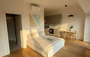 Apartment for rent, 1+KK - Studio, 36m<sup>2</sup>