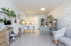 Apartment for rent, 1+KK - Studio, 39m<sup>2</sup>