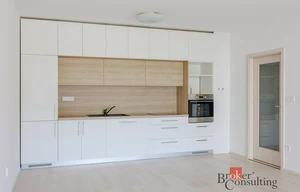 Apartment for rent, 1+KK - Studio, 43m<sup>2</sup>