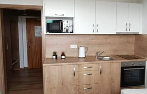 Apartment for rent, 1+KK - Studio, 22m<sup>2</sup>