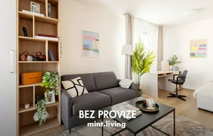 Apartment for rent, 1+KK - Studio, 39m<sup>2</sup>