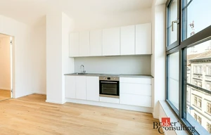 Apartment for rent, 1+KK - Studio, 24m<sup>2</sup>