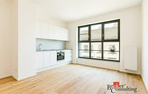 Apartment for rent, 1+KK - Studio, 24m<sup>2</sup>
