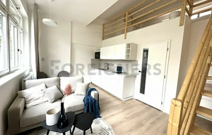 Apartment for rent, 1+KK - Studio, 44m<sup>2</sup>