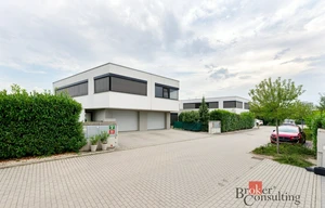 Family house for sale, 156m<sup>2</sup>, 248m<sup>2</sup> of land