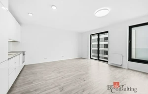 Apartment for rent, 1+KK - Studio, 37m<sup>2</sup>