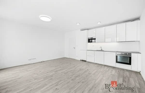 Apartment for rent, 1+KK - Studio, 37m<sup>2</sup>