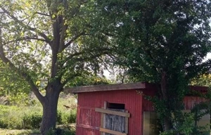 Garden for sale, 495m<sup>2</sup>