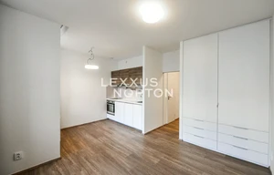 Apartment for rent, 1+KK - Studio, 30m<sup>2</sup>