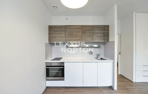 Apartment for rent, 1+KK - Studio, 30m<sup>2</sup>