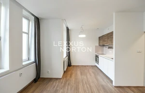 Apartment for rent, 1+KK - Studio, 30m<sup>2</sup>