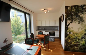 Apartment for rent, 1+KK - Studio, 36m<sup>2</sup>