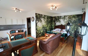 Apartment for rent, 1+KK - Studio, 36m<sup>2</sup>
