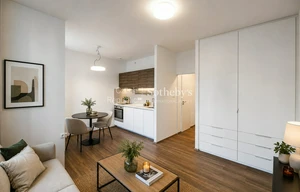 Apartment for rent, 1+KK - Studio, 30m<sup>2</sup>