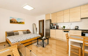 Apartment for rent, 1+KK - Studio, 31m<sup>2</sup>