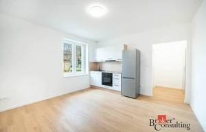 Apartment for rent, 2+kk - 1 bedroom, 37m<sup>2</sup>