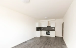 Apartment for rent, 2+kk - 1 bedroom, 54m<sup>2</sup>