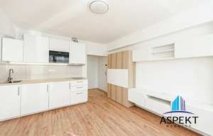 Apartment for rent, 1+KK - Studio, 24m<sup>2</sup>