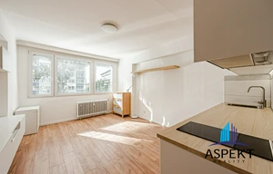 Apartment for rent, 1+KK - Studio, 24m<sup>2</sup>