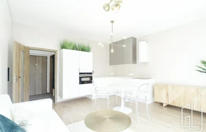 Apartment for rent, 1+KK - Studio, 30m<sup>2</sup>