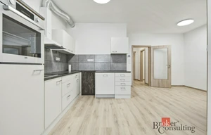 Apartment for rent, 2+kk - 1 bedroom, 51m<sup>2</sup>