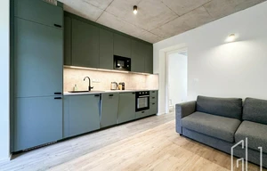 Apartment for rent, 2+kk - 1 bedroom, 38m<sup>2</sup>