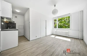Apartment for rent, 2+kk - 1 bedroom, 32m<sup>2</sup>