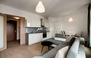 Apartment for rent, 2+kk - 1 bedroom, 49m<sup>2</sup>