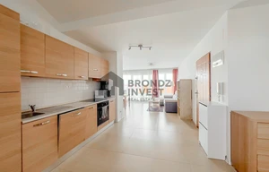 Apartment for rent, 1+KK - Studio, 64m<sup>2</sup>