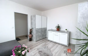 Apartment for rent, 1+1 - Studio, 33m<sup>2</sup>