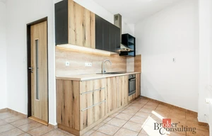 Apartment for rent, 1+KK - Studio, 49m<sup>2</sup>