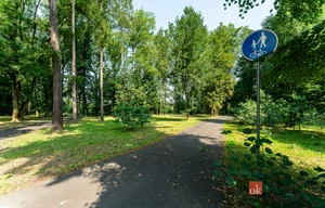 Apartment for rent, 1+KK - Studio, 49m<sup>2</sup>