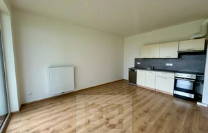 Apartment for rent, 2+kk - 1 bedroom, 43m<sup>2</sup>