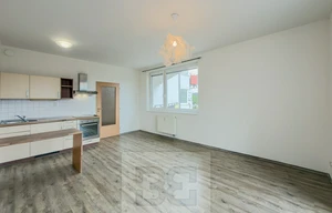 Apartment for rent, 1+KK - Studio, 41m<sup>2</sup>