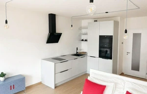 Apartment for rent, 1+KK - Studio, 38m<sup>2</sup>